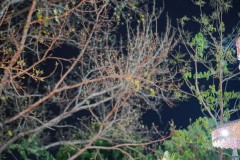 DSC02460