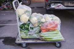 DSC00806