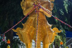 DSC06308