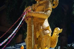 DSC06341