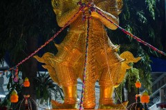 DSC06381
