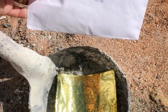 S__20848657