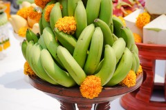 DSC03165
