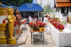DSC03236