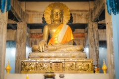 DSC06800