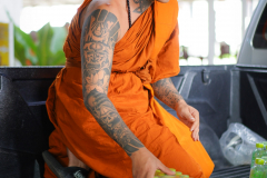 DSC03113