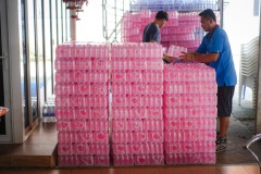 DSC07758
