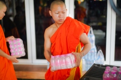 DSC02101