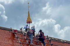 IMG_1419