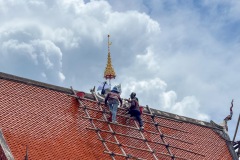 IMG_1421