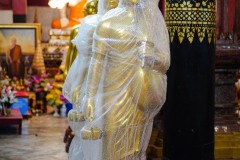 DSC04842
