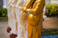 DSC08225