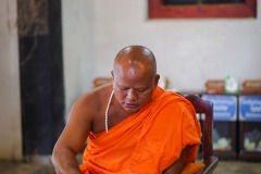 DSC08229