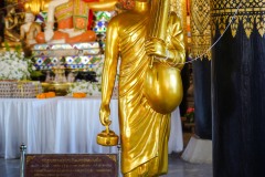 DSC00163