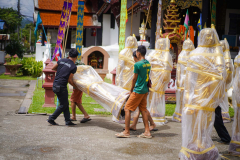 DSC00694